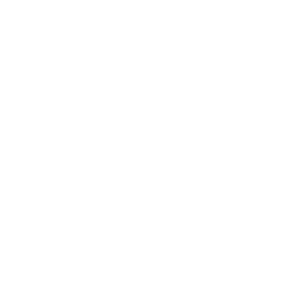 white company logo for Mist tech business