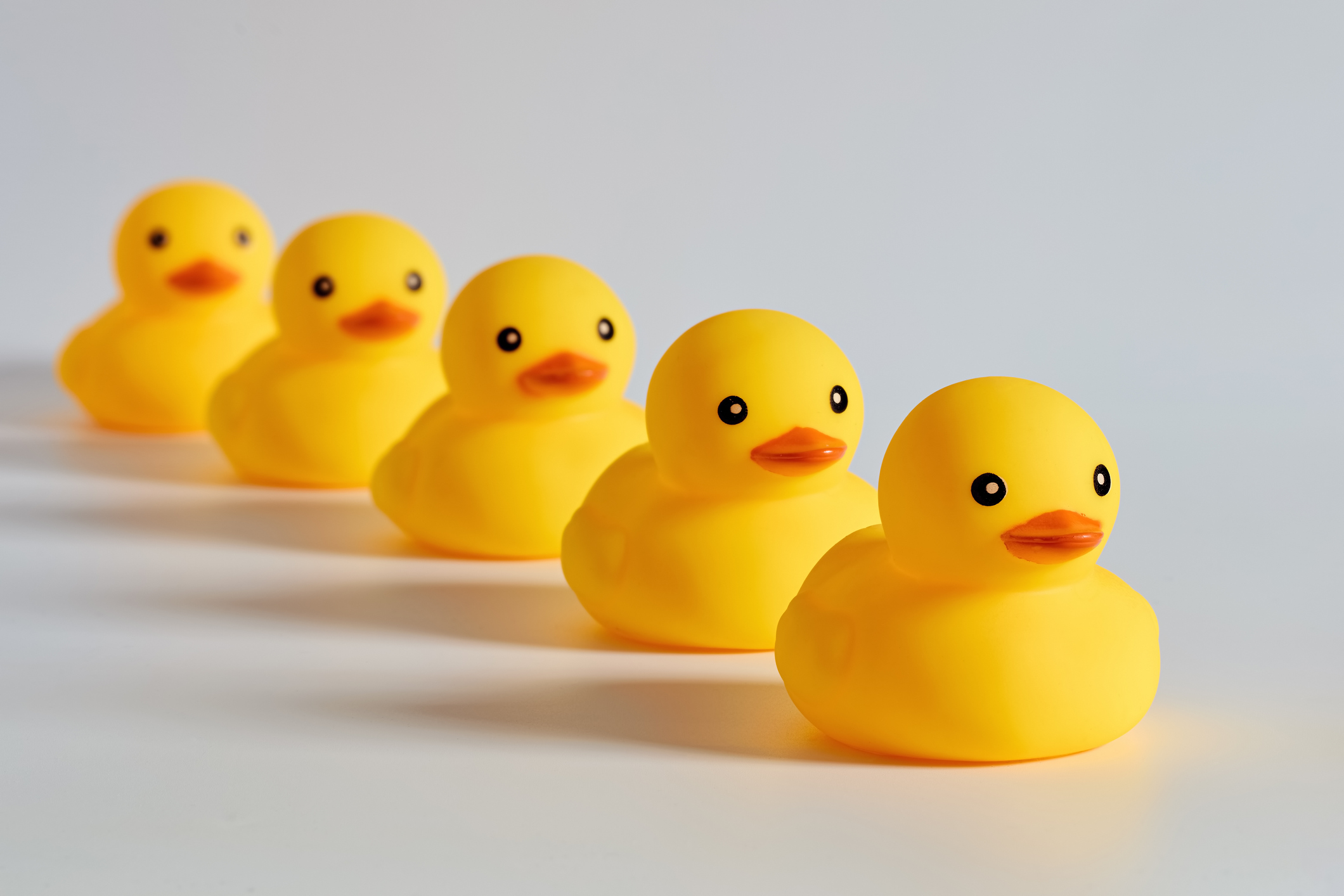 Rubber ducks or ducklings in a row.