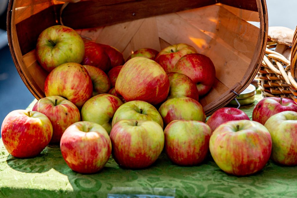 Apples spilling out of a bushel