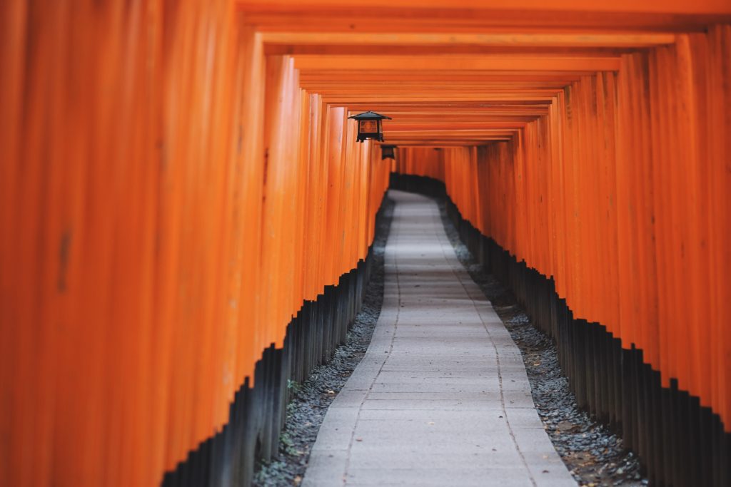 A clear path extending into the horizon, through a tunnel of two walls and a ceiling.