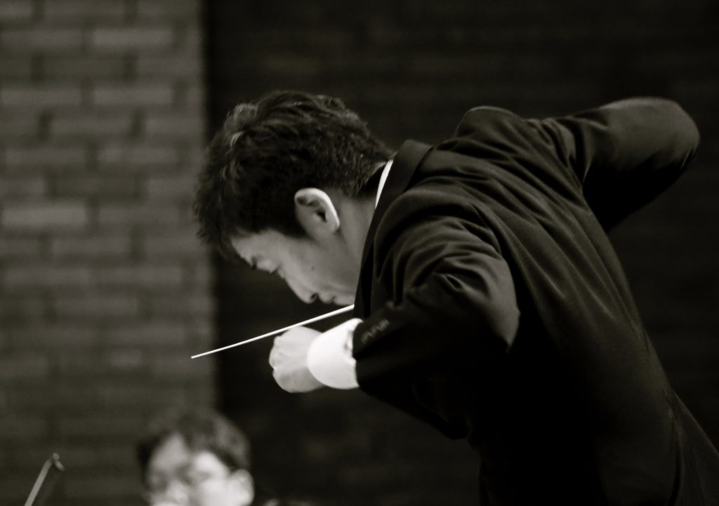 Orchestra conductor.