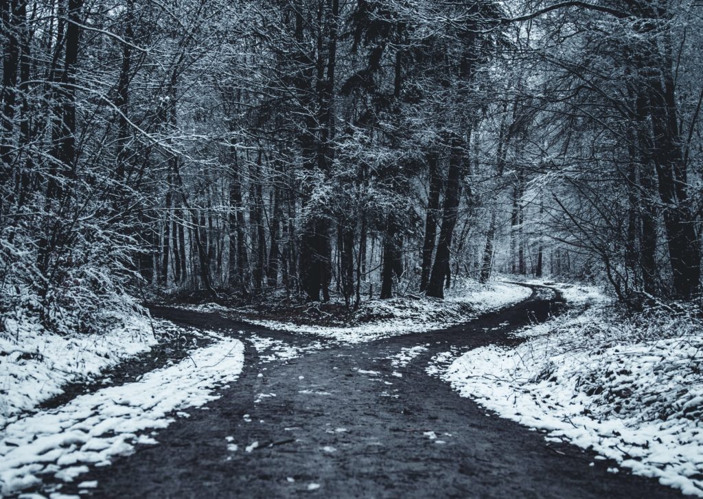 A path in a snowy woods, forking off into two different directions. 