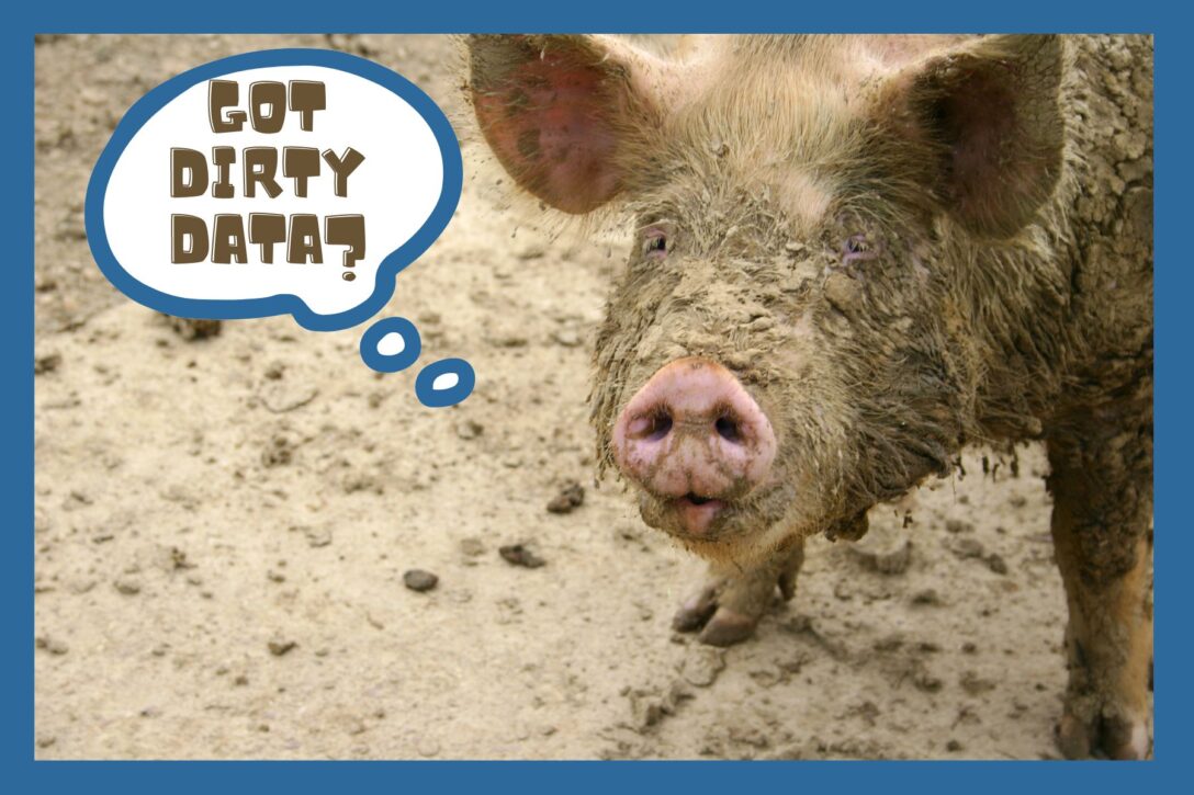 picture of a dirty pig asking if you have dirty data