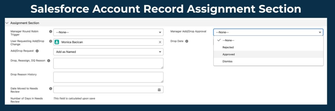 A section of a Salesforce account record that shows record assignment data