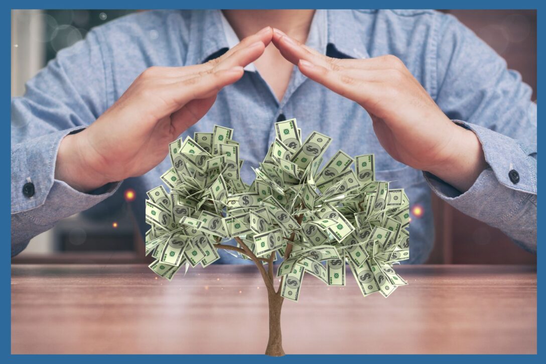 hands protecting a tree whose leaves are made from paper money