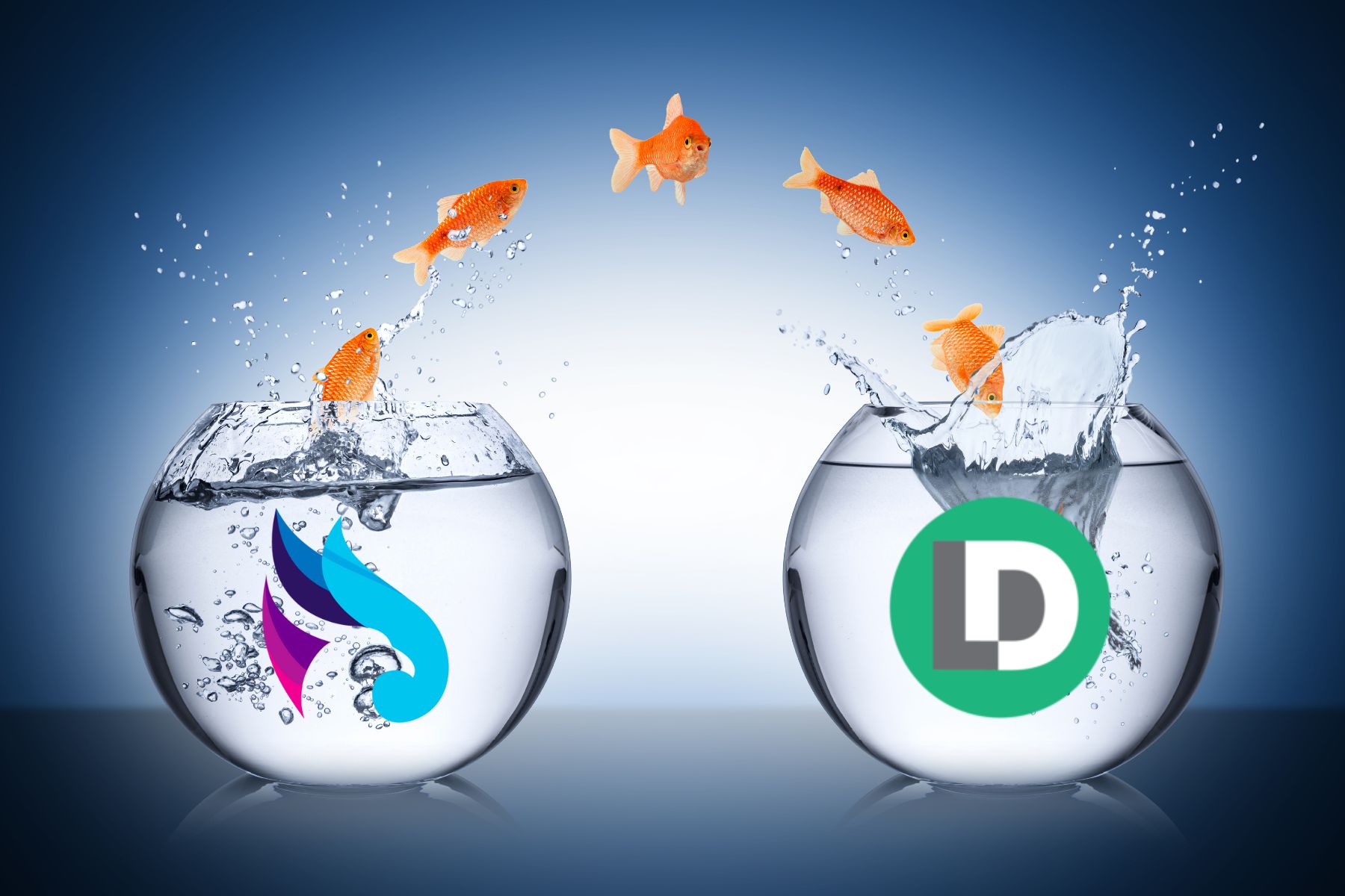 image of goldfish jumping from a fishbowl with the RingLead logo on it into a fishbowl with the LeanData logo on it