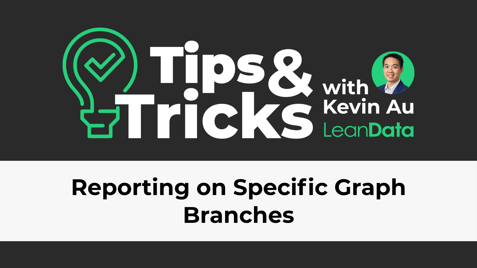 a rectangle with a green lightbulb and a leandata tips and tricks logo