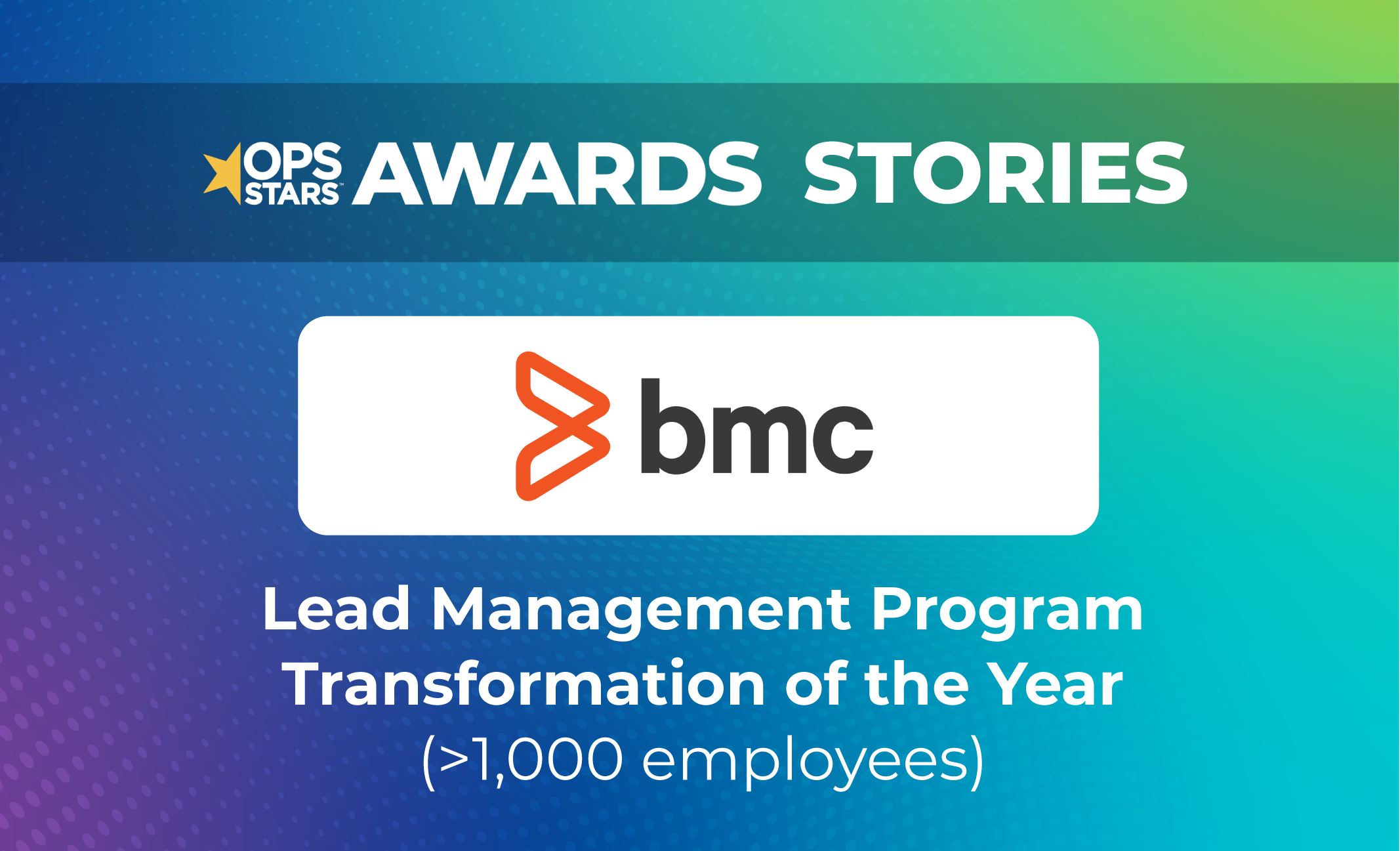 Logo for BMC Software winning the Lead Management Program Transformation of the Year BMC Software