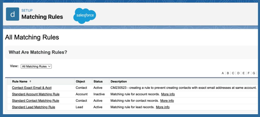 a table with rows showing Salesforce matching rules