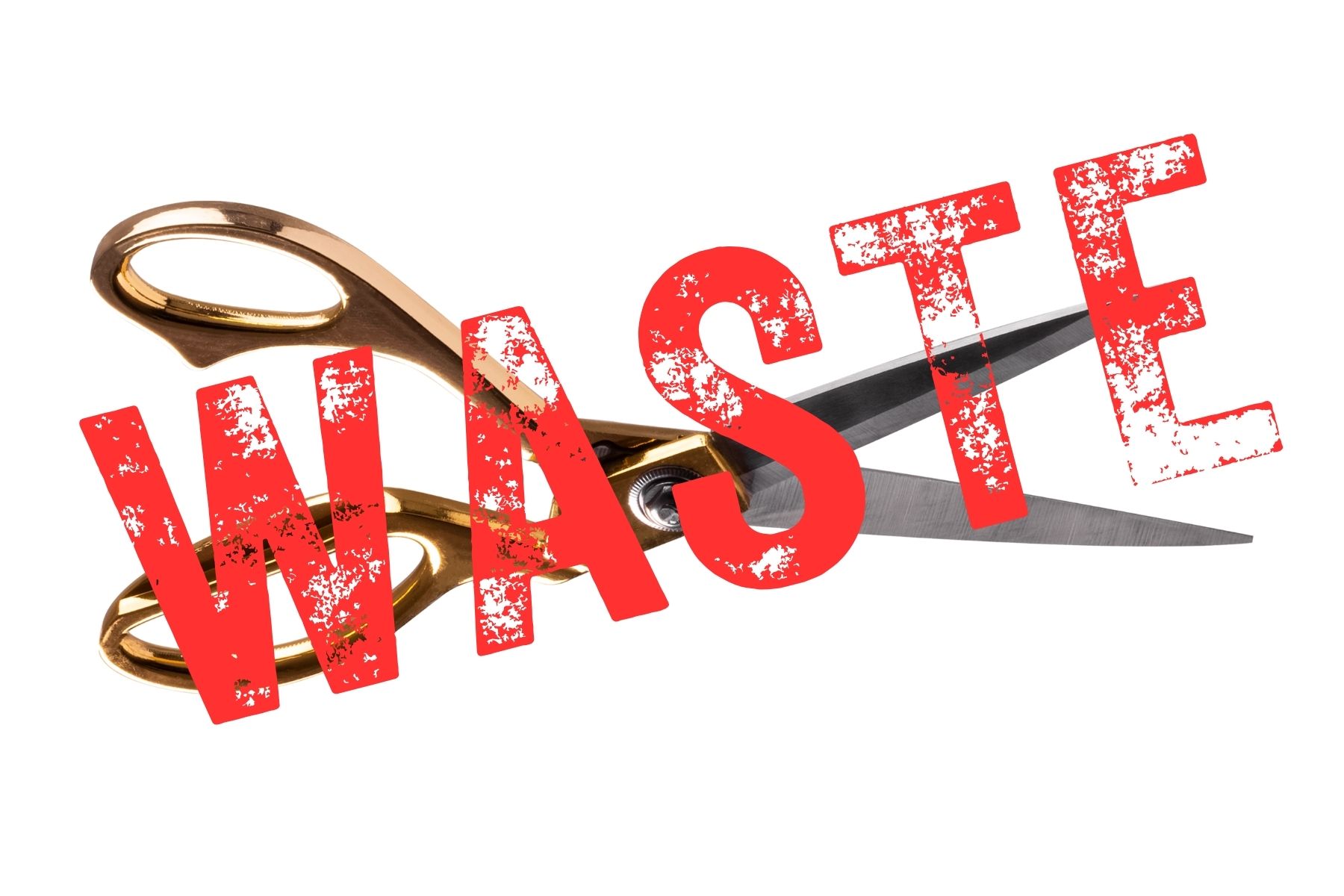 scissors with the word WASTE stamped on top