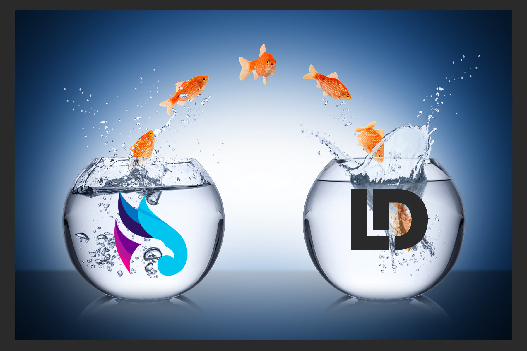 fish jumping from a RingLead fishbowl to a LeanData fishbowl