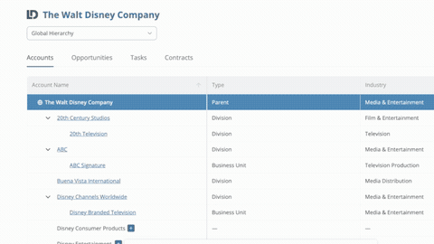 Dun & Bradstreet account hierarchies integration